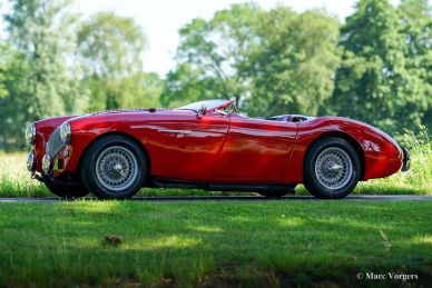 Austin Healey 100/4 'Le Mans', 1954
