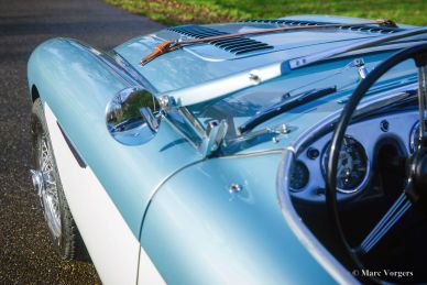 Austin Healey 100/4 BN2, 1956