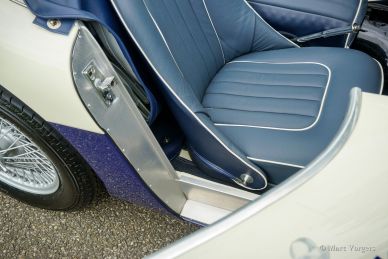 Austin Healey 100/4 BN1, 1953