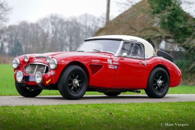 Austin Healey 100/6 Rally Car, 1958
