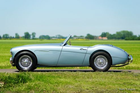 Austin Healey 100/6, 1958