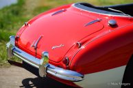 Austin Healey 100/6, 1959