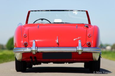 Austin Healey 100/6, 1959
