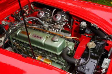 Austin Healey 3000 Mk III, 1964