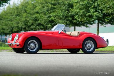 Jaguar XK 120 OTS (Roadster), 1954