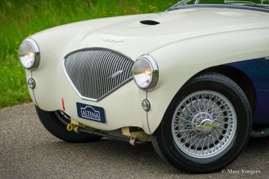 Austin Healey 100/4 BN1, 1953