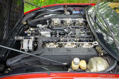 Ferrari 365 GTC/4, 1972
