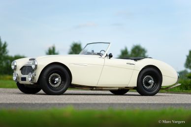 Austin Healey 100/6, 1959