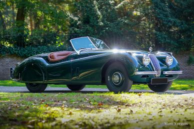 Jaguar XK 120 OTS, 1954