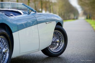 Austin Healey 100/4 BN2, 1956
