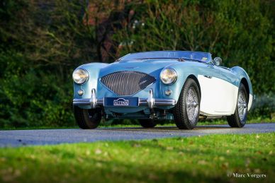 Austin Healey 100/4 BN2, 1956