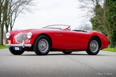 Austin Healey 100/4 BN2, 1956