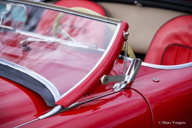 Austin Healey 100/4 BN2, 1956