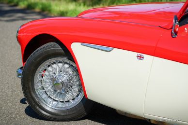 Austin Healey 100/6, 1959