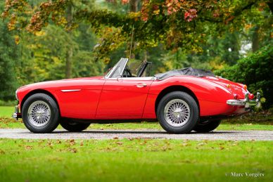 Austin Healey 3000 Mk III, 1966