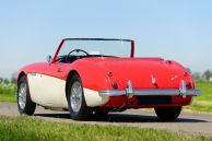 Austin Healey 100/6, 1959