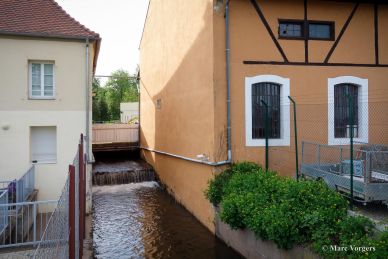 MMM 2015 – Bugatti Discovery Tour