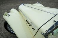 MG TF 1250, 1954