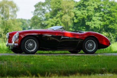 Austin Healey 100/4, 1954