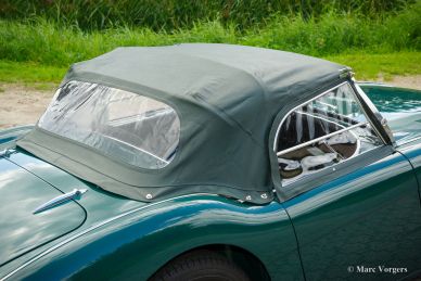 Austin Healey 100/4 BN1, 1955