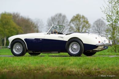 Austin Healey 100/6 BN4, 1957