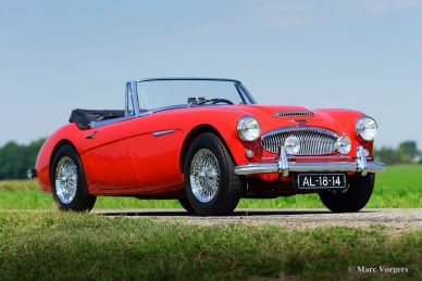 'THE BIG HEALEYS' - BOOK - Nikas & Vorgers