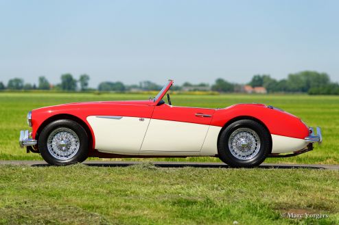 Austin Healey 100/6, 1959