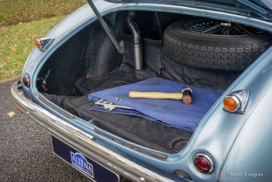 Austin Healey 100/4 BN1, 1955