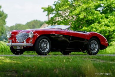 Austin Healey 100/4, 1954