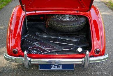 Austin Healey 100/4, 1954