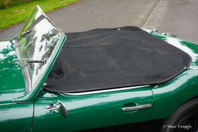 Austin Healey 100/6 BN6 ‘two-seater’, 1958