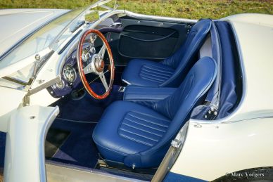 Austin Healey 100/4 BN1, 1955