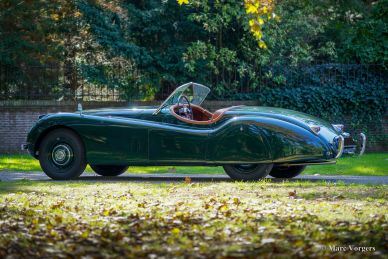 Jaguar XK 120 OTS, 1954
