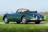 Jaguar XK 140 SE DHC, 1955