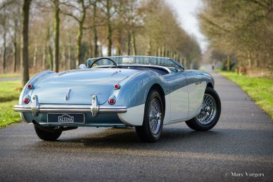 Austin Healey 100/4 BN2, 1956