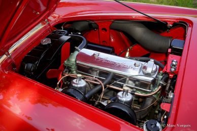 Austin Healey 100/4, 1954