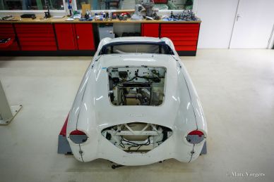 Austin Healey 100/M BN1, 1954 Mille Miglia preparation