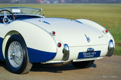 Austin Healey 100/4 BN1, 1955