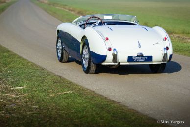 Austin Healey 100/4 BN1, 1955