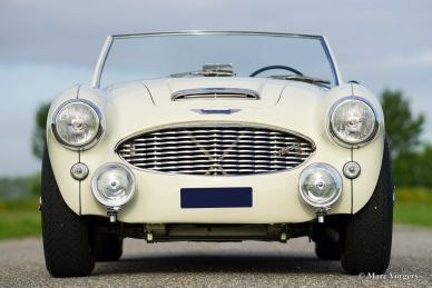 Austin Healey 100/6, 1959