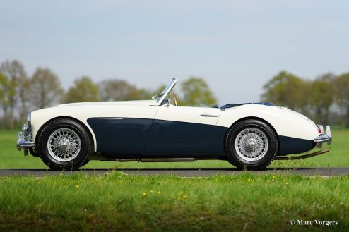 Austin Healey 3000 Mk II, 1962