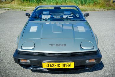 Triumph TR 8, 1980