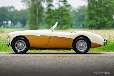 Austin Healey 100/4 BN1, 1955