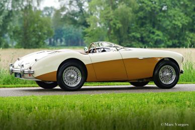 Austin Healey 100/4 BN1, 1955