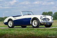Austin Healey 100/6 BN4, 1959