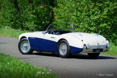 Austin Healey 100/6 ‘two-seater’, 1958