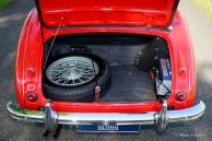 Austin Healey 100/6, 1959