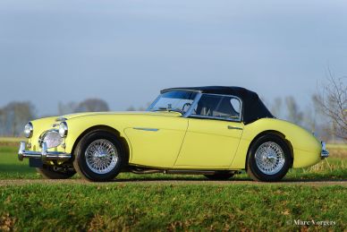 'THE BIG HEALEYS' - BOOK - Nikas & Vorgers