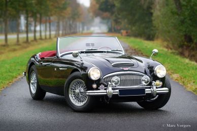 'THE BIG HEALEYS' - BOOK - Nikas & Vorgers