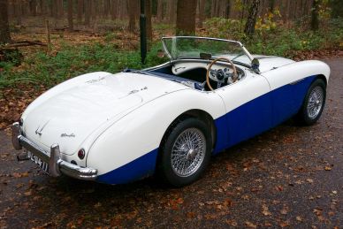 Austin Healey 100/M BN1, 1954 Mille Miglia preparation